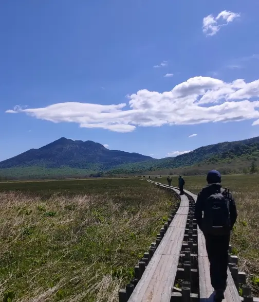 尾瀬を歩いている写真